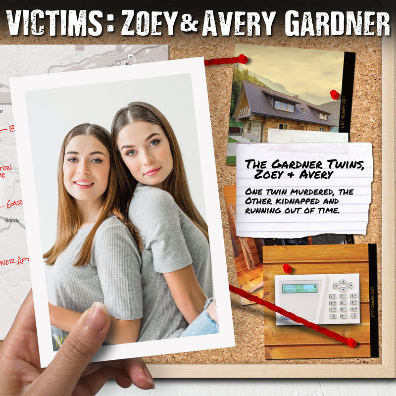 CASE #9 - THE MISSING TWIN